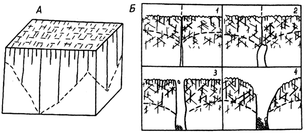 Рис. 18. Развитие трещин в эпикарстовой зоне (А) и модель развития плювиально-коррозионной полости в ней (Б) (по Р.Вильямсу, 1985,и А.Климчуку, 1995).