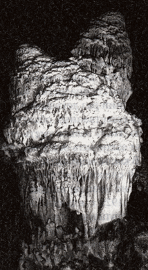 Рис. 62. Регенерированные колонны в пещере Максимовича, Крым.